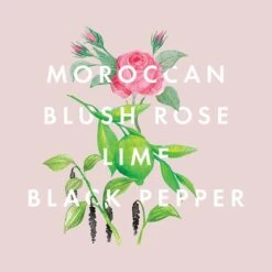 NEOM Organics Complete Bliss Standard Scented Candle -Estee Lauder Sales Store 10970357 1094824843498990