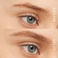 Eyeko Brow Gel - Tinted 5 Eyeko Brow Gel - Tinted -Estee Lauder Sales Store 11318080 1195029196848803
