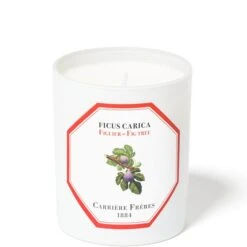 Carrière Frères Scented Candle Fig Tree - Ficus Carica - 185 G