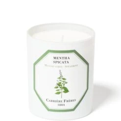 Carrière Frères Scented Candle Spearmint - Mentha Spicata - 185 G