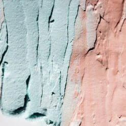 Algenist Alive Prebiotic Balancing Mask 1.7 Fl Oz -Estee Lauder Sales Store 12676238 1954796897887848