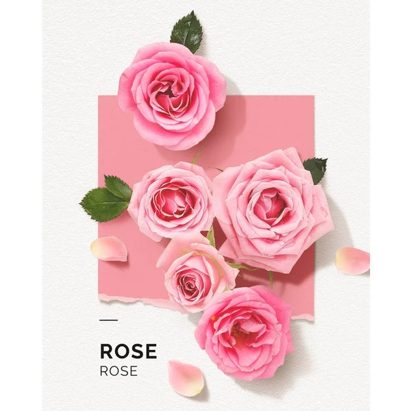 Solinotes Eau De Parfum Mini - Rose 0.5 Oz 2 Solinotes Eau De Parfum Mini - Rose 0.5 Oz - Image 2