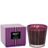NEST New York Autumn Plum 3 Wick Candle 600g