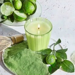 NEST New York Lime Zest And Matcha Classic Candle 230g -Estee Lauder Sales Store 14198696 1005017178842857