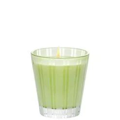 NEST New York Lime Zest And Matcha Classic Candle 230g -Estee Lauder Sales Store 14198696 1185017178755062