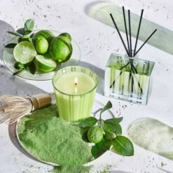 NEST New York Lime Zest And Matcha Classic Candle 230g -Estee Lauder Sales Store 14198696 1935017178882283